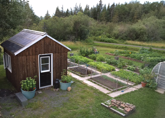 garden
